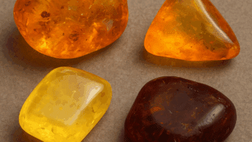 Jakie są różnice między bursztynem z Polski a z Ukrainy