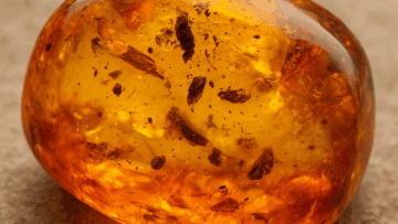 Jak bursztyn działa w aromaterapii